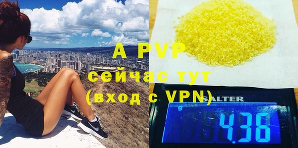 дмт Осташков