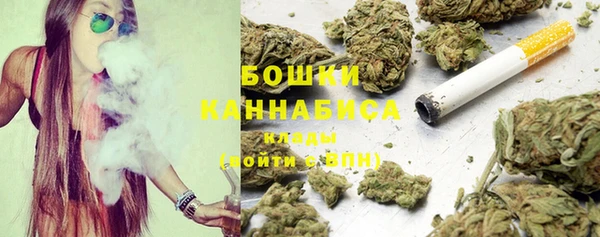 дмт Арсеньев
