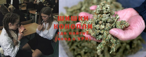 дмт Арсеньев